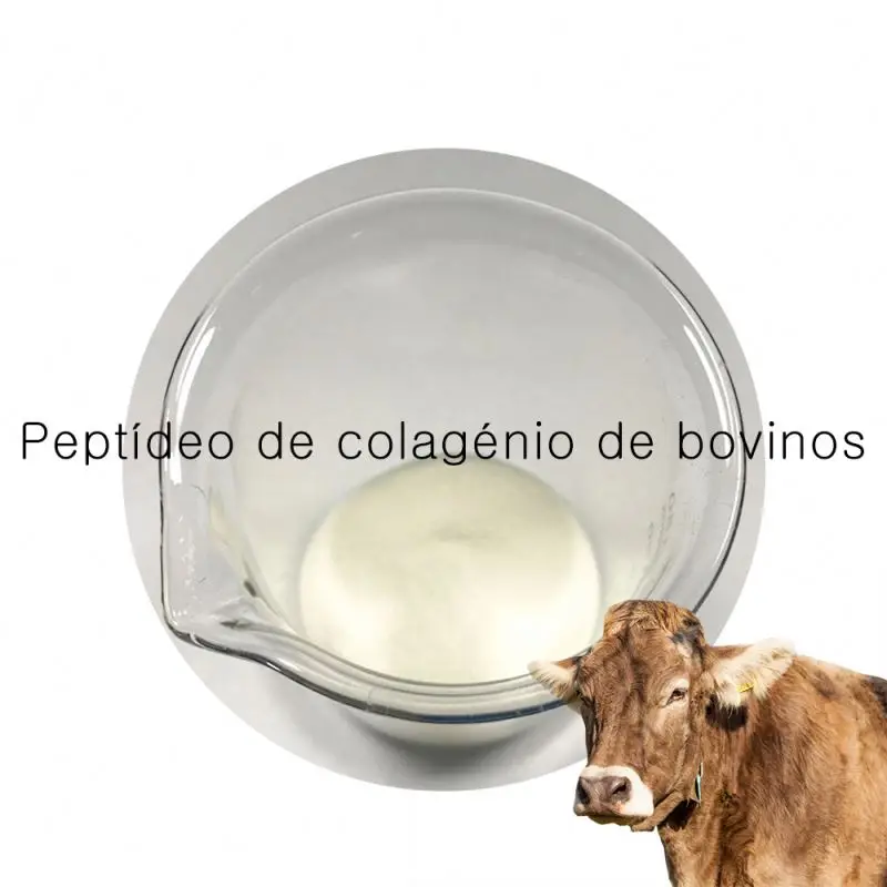 Hot Sell Hot Sell Marine Collagen Powder Peptide soluble Raw Material