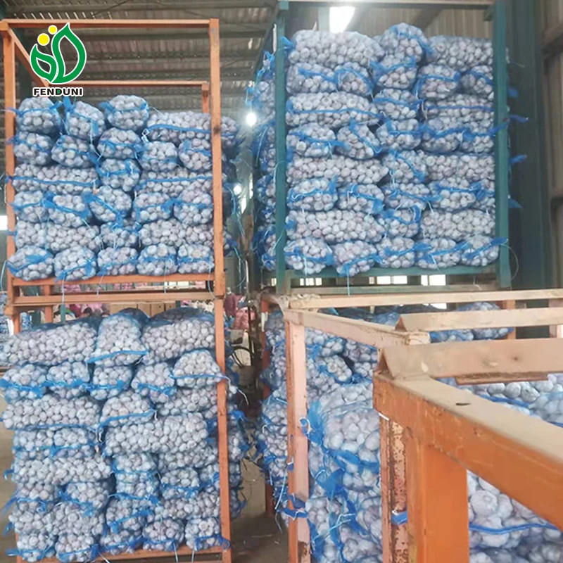Loosely mesh bag 10kg/20kg 5.5cm-6.0cm ajo alho ail fresh garlic China garlic wholesaler