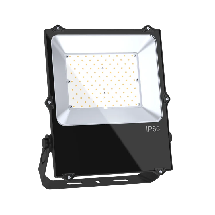 Прямая Продажа с фабрики легко устанавливаемый кронштейн 80 Вт закаленное стекло ландшафтный отражатель светодиодный прожектор