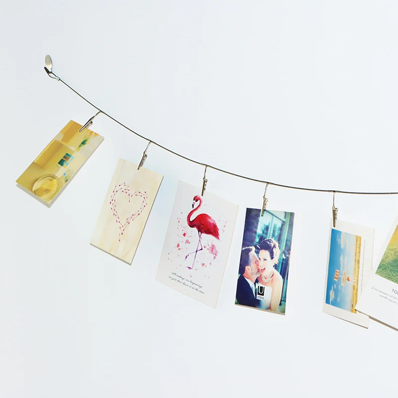 Multi-Purpose Steel Wall Hanging Photo Display Cable Wire Rod with 12 Adjustable Clips for Hanging Photos Notes Postcard