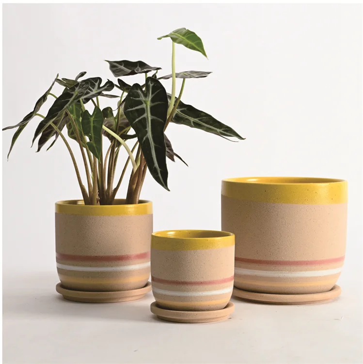 New Design Festival Decor Color Speckled Glaze Matt Indoor Cylindrical Ceramic Plant Planter Pot with Saucer