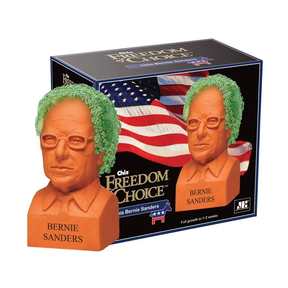 Планта подарок на день рождения Cha Chia Pet растение с упаковкой декоративная керамическая плантатор для домашнего декора