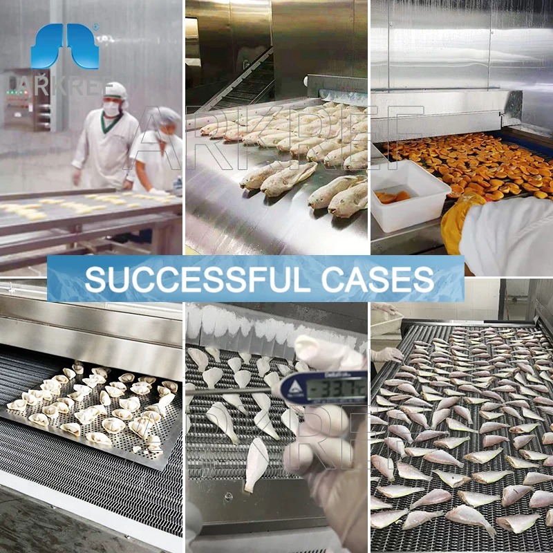 High Efficiency Blast Chiller Freezer Tunnel Freezer Sea Food Quick Freezing Stainless Steel 304 Iqf Tunnel For Sea Food Meat
