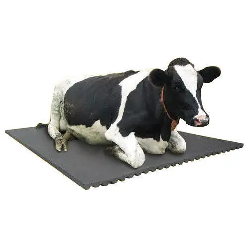 Durable Rubber Sheet For Cattle Rubber Sheet For Cow Mat From China Manufacture