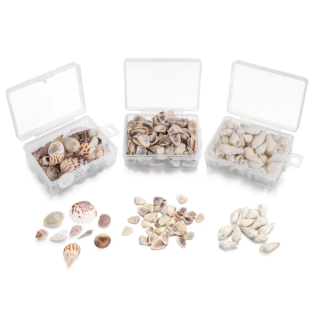 Mixed ocean seashells natural empty clean beach shell raw sea shells combination box packaging for home decor and crafts making