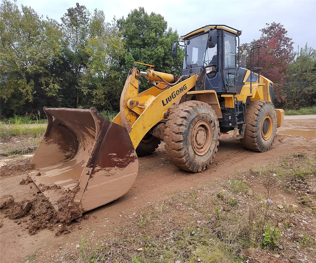 Годовой 2019 Подержанный 5 тонн погрузчик использованный Liugong CLG856H payloader с 4000hrs CLG862H LG956F