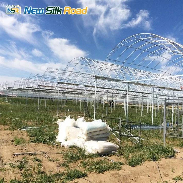 Large Economical Plastic Agricultural Greenhouse Double Single Layer Hot Dip Galvanized Steel Frame Plant Use PE ETFE Material