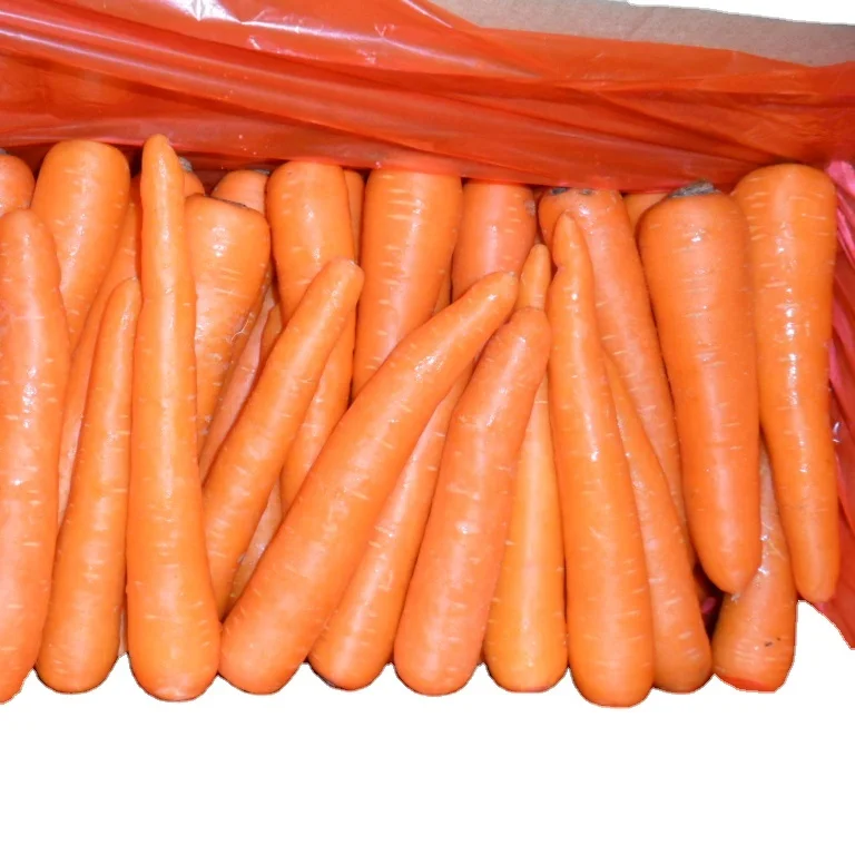 Buy Fresh  Carrots For Sales