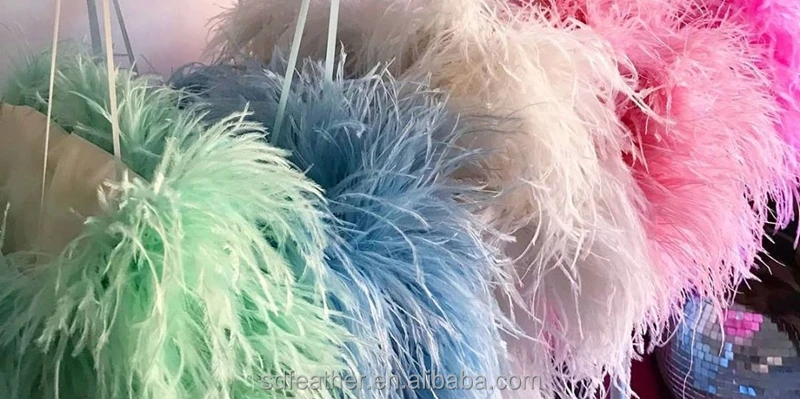 feather fashion colors.jpg