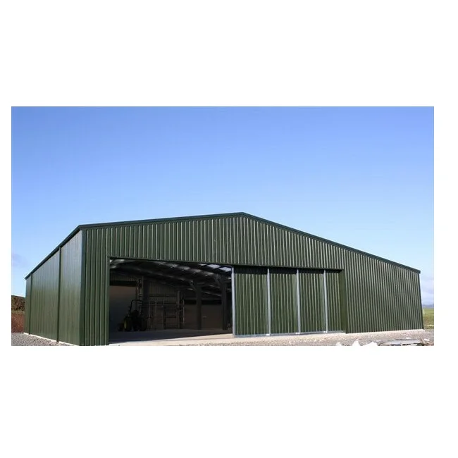 Low Cost Prefabricated Steel Structure Warehouse Workshop Hangar Shed Building