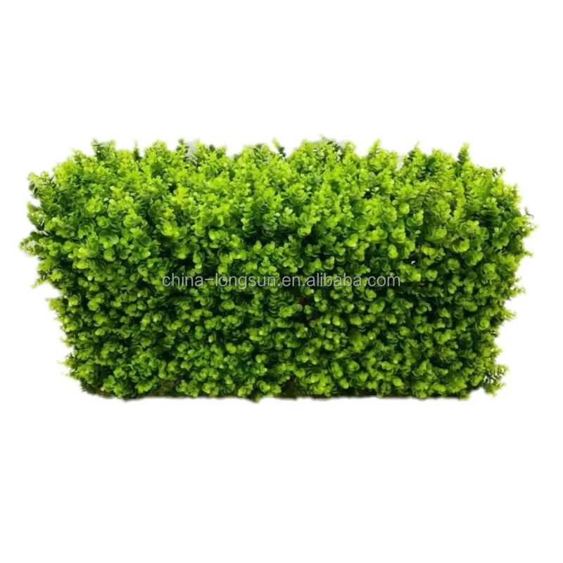 51107 (352)_conew1.jpg