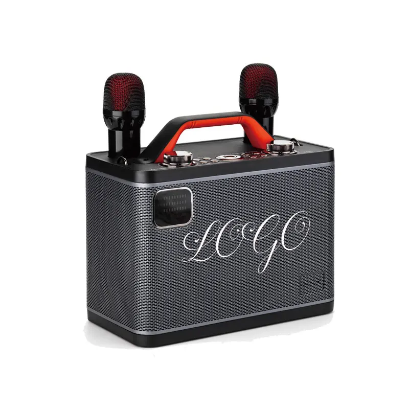 Best Buy Portable Bluetooth Speaker 25w Two Microphone Karaoke Machine Home Theatre System karaoke Machine for Bar