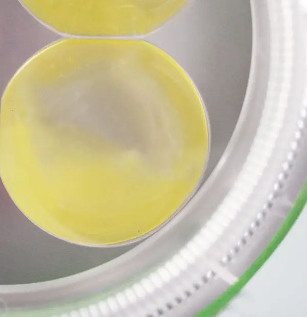 China factory wholesale 3 inch Round led Fog Lamp LED WORK LIGHT SPOT DRIVING LAMP TRUCK lights with green Base