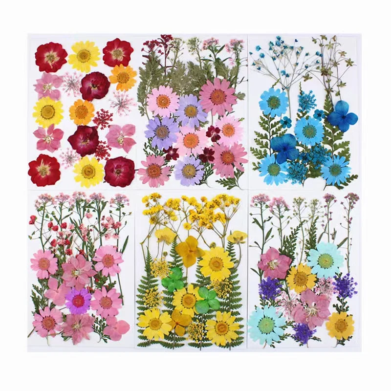 Bulk Sale Multicolor Multifunctional DIY Candle Phone Case Make Decorative Pressed Dried Flowers For Resin