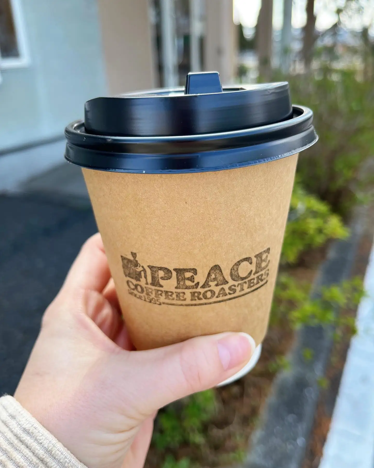 Wholesale Printing 8oz 12oz 16oz Single Wall Disposable Paper Cups Customized Hot Coffee Paper Cup With Lid