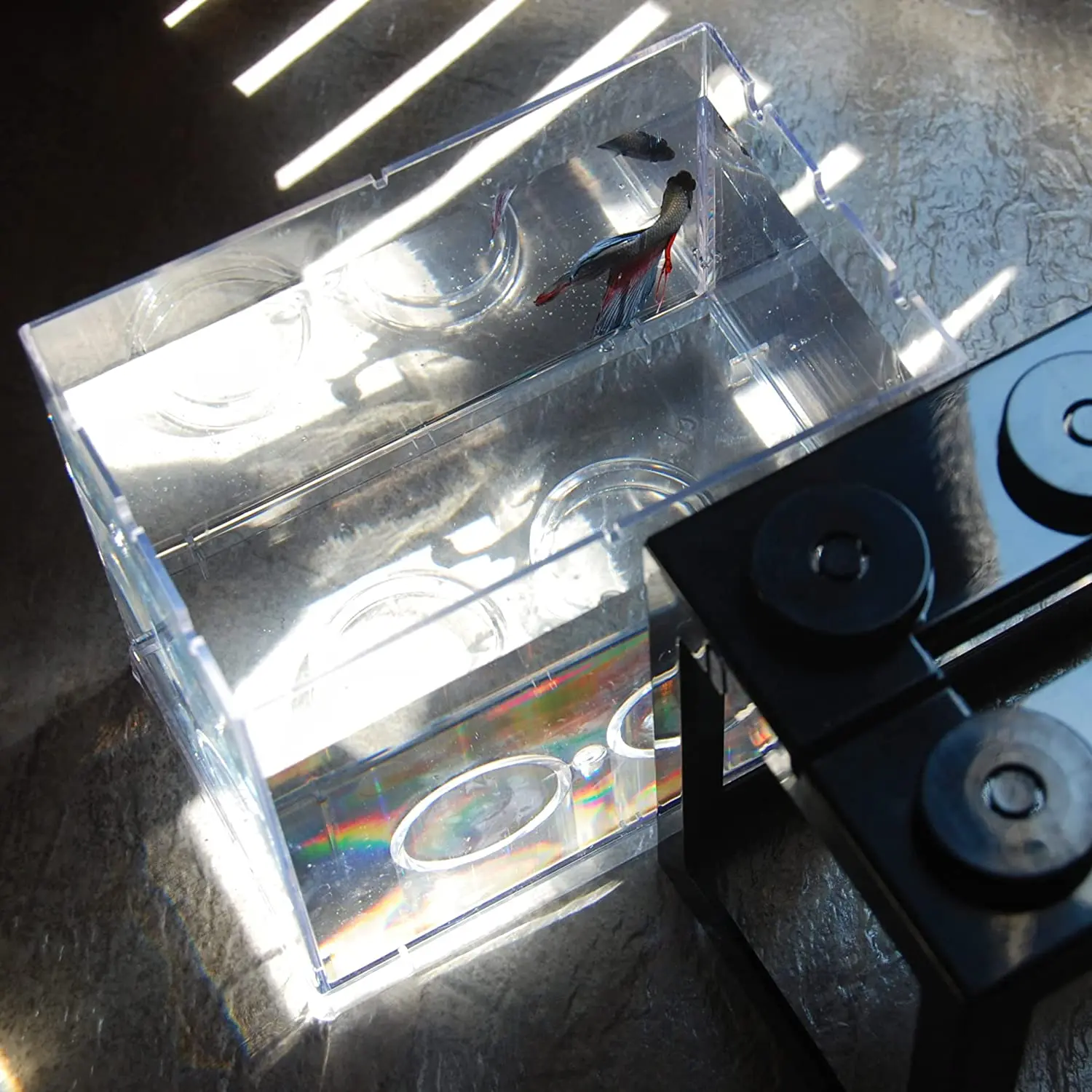 [Elosung] Mini Aquarium Betta Fish Tank - USB LED Lighting, Small Aquarium Office Viewing, Transparent Acrylic Fish Tank