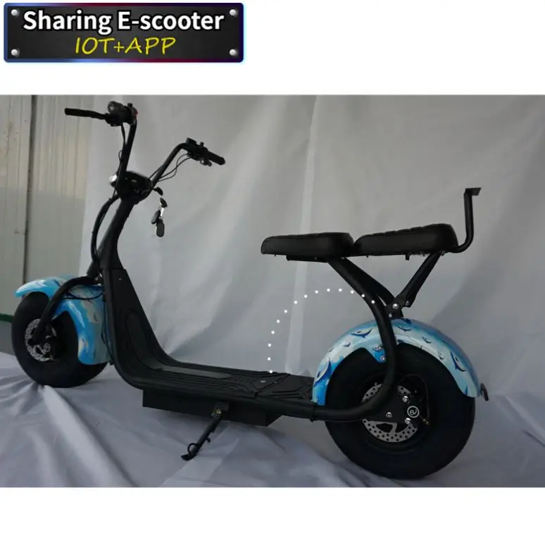 2021 Citycoco 2000W Eec Electric Scooter With Ce/Rohs