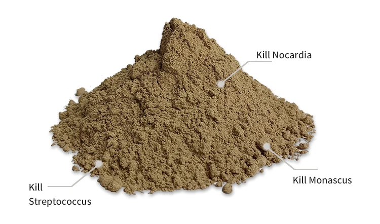 fish bacterial infection with best additives premix feed