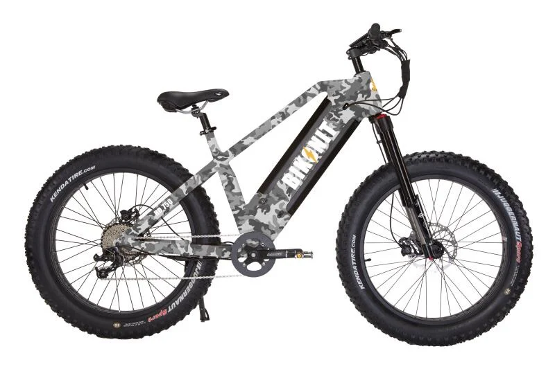 2020 newest dual battery 48v 1000w Bafang G510 M620 electric fat bike,electric bicycle with 120km long range