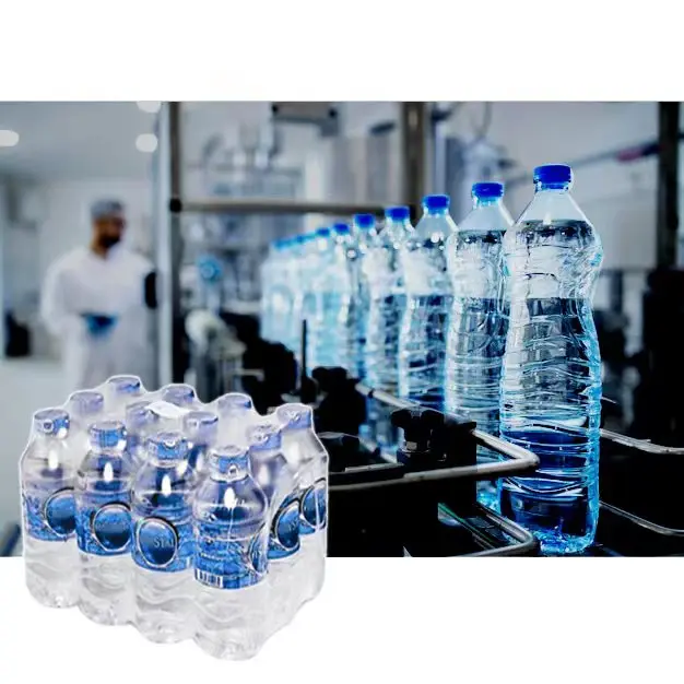 Africa Small Business Automatic Bottling Plant Drinking Pure Mineral Water Bottle Filling Machines Packaging Line Price In China