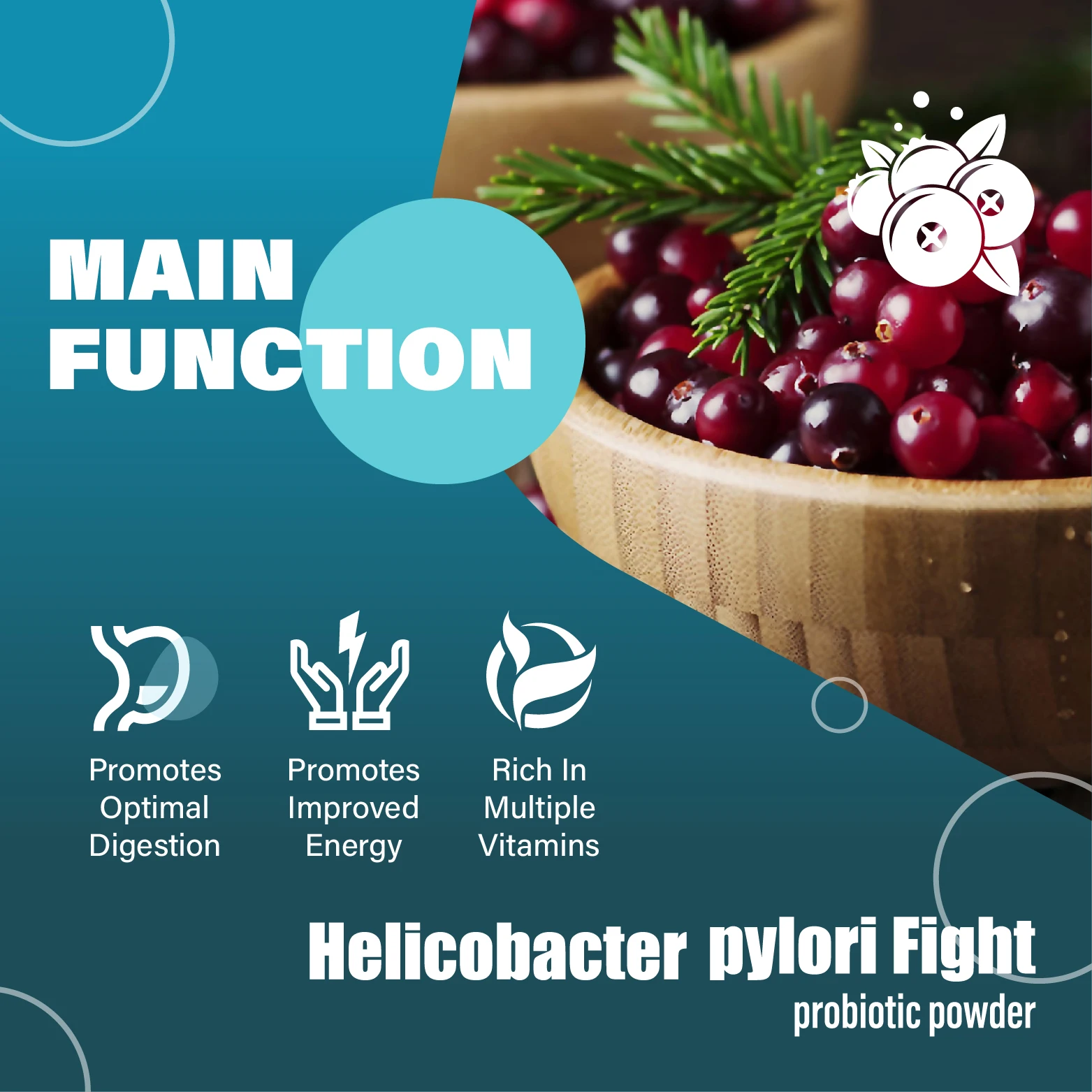 OEM Lactobacillus paracasei probiotic Intestinal Flora Balance Enhance Immune System Helicobacter pylori Fight Probiotic Powder