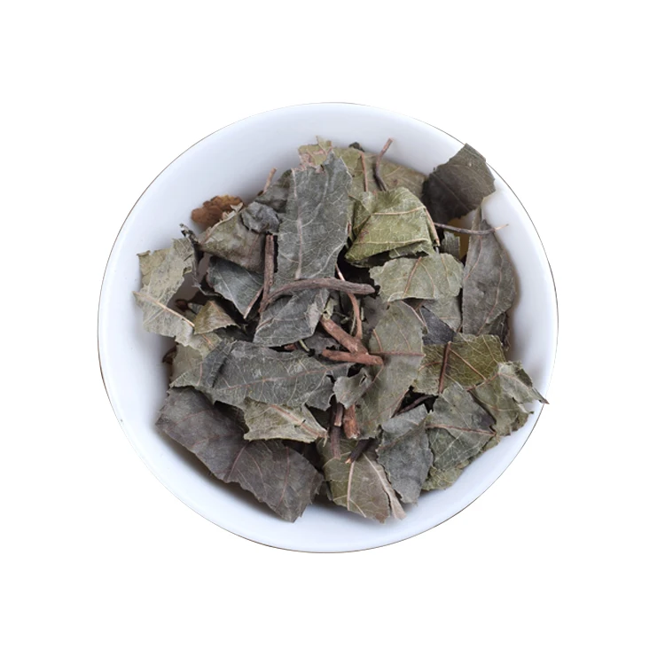 
100% Natural Herba Ardisiae Japonicae 