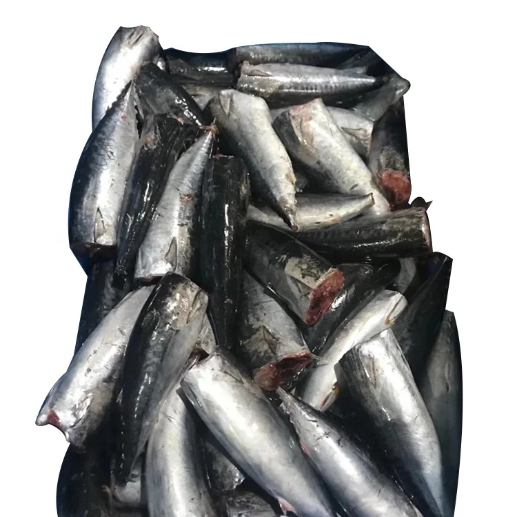 Горячая Распродажа замороженный Бонито тунец HGT (Auxis Thazard) для консервирования