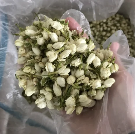 Wholesales BAIXIANGHUI High Grade Jasmine Tea Flower Tea for Beauty Slimming Chinese green Jasmine buds tea for sales