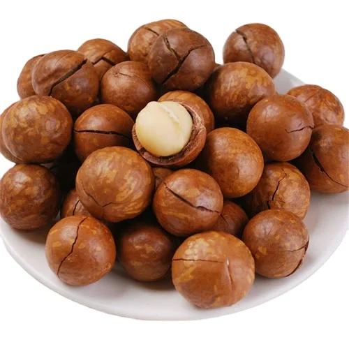 macadamia australia macadamia peladora prix des noix de macadamia