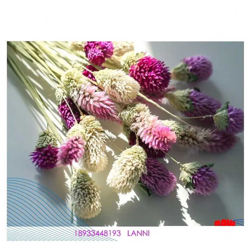 Yunnan factory supply wholesale natural rose flower preserved florist