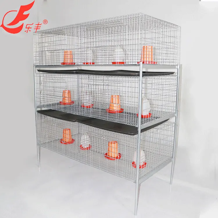 H-type chicken cages laying hens broilers fattening chicks