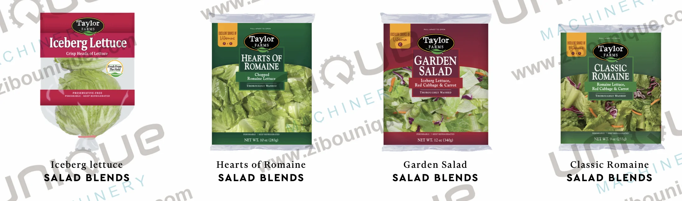 High efficiency fruit and vegetable cleaning machine salad vegetable washing machine