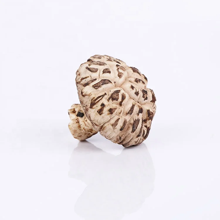 Выбранный вручную Сушеный Белый Органический цветок Shiitake гриб