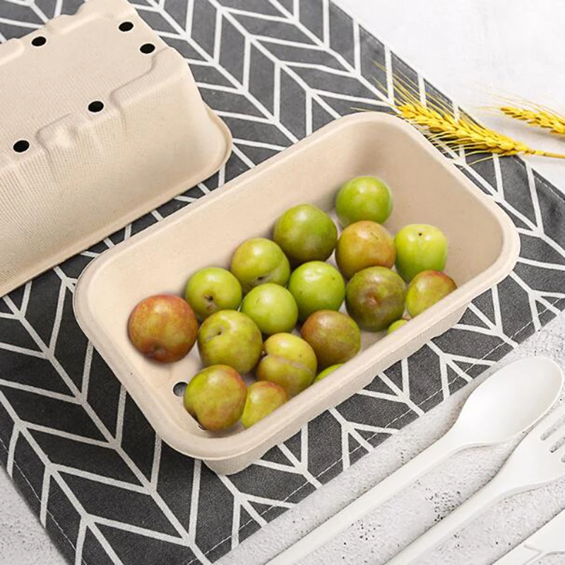 Custom hot sale Compostable Dried Fruit Strawberry Tray Bagasse Pulp Fruit Vegetable Packaging Trays With Drain Hole