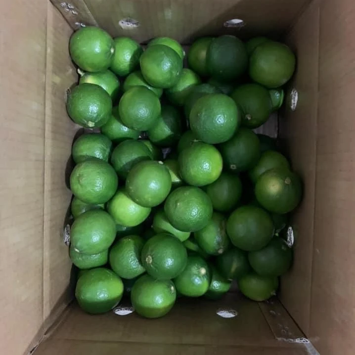 Свежий лимон без семян во Вьетнаме 2021, чтобы производить напитки оптом 2021