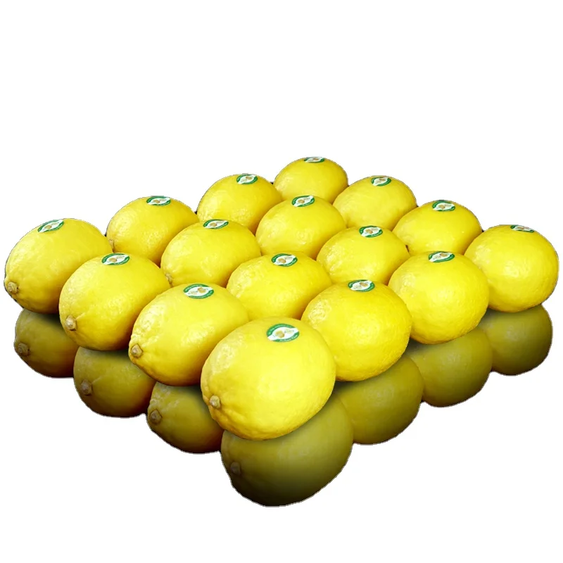 
Hot Sale Organic Fresh Lemon Cheap Price Popular Recommend Fruit Lemon 