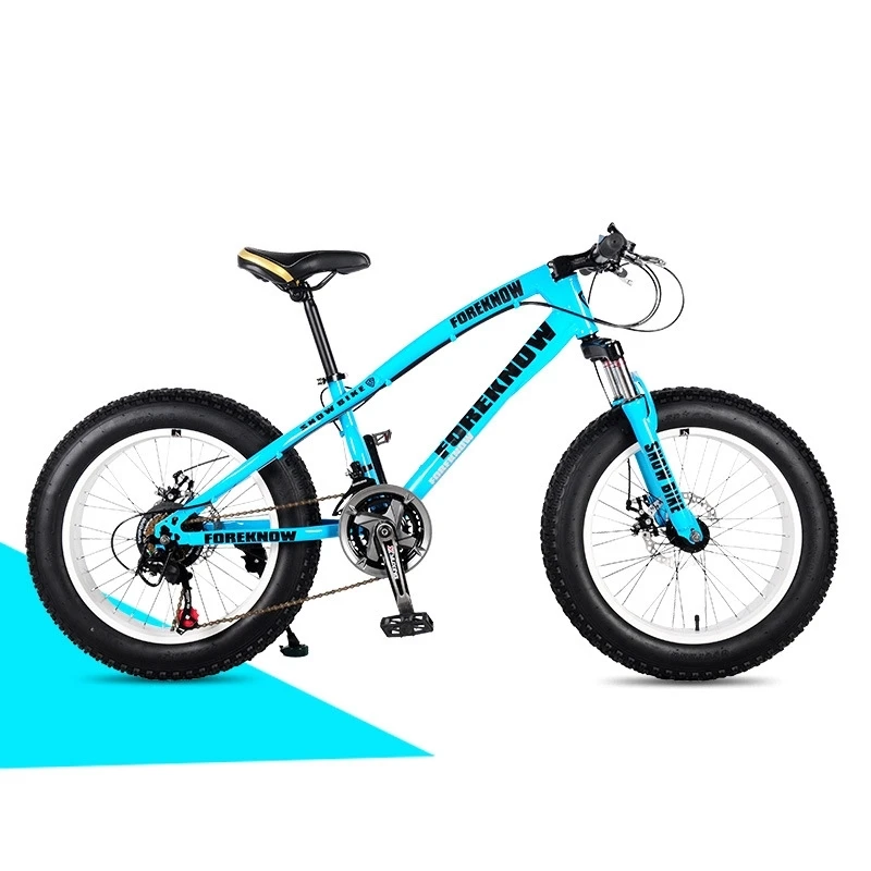 Steel fat tire big tire 26 inch 24 speed manufacturer MTB mountain snow bike beach bike mtb Bicycle