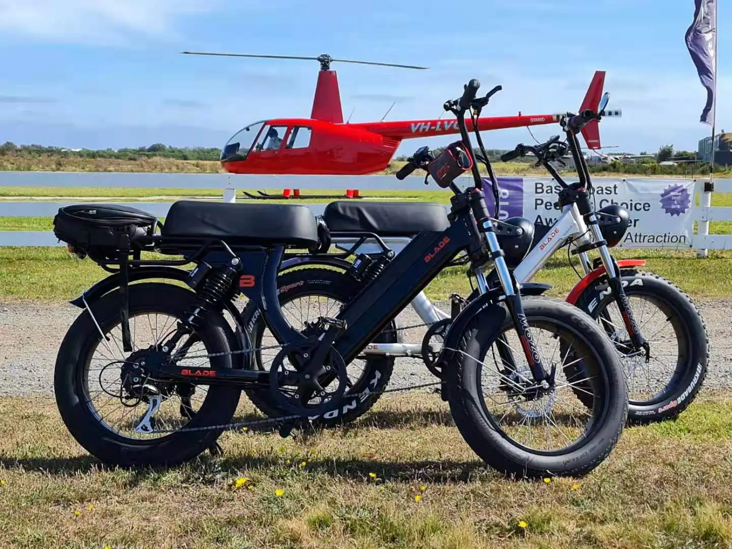 LOHAS  Retro Design 500w 750w 1000w Electric Chopper Bike Unisex E-bike Fat Electric Bicycle