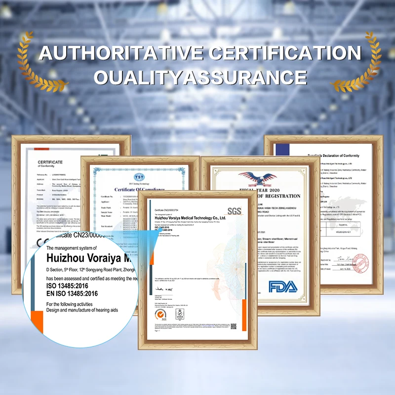 Hearing Aids 12 Channels RIC Medical Mini Wireless Ear Deaf Amplifier Manufacturer Hearing Aids Rechargeable