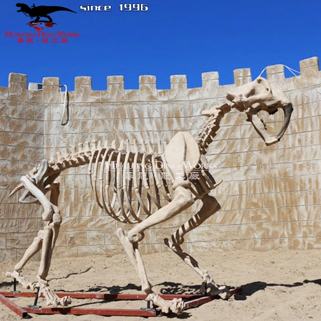 New Dinosaur Fossil Skeleton High Simulation Dinosaur Skeleton Fossil Model