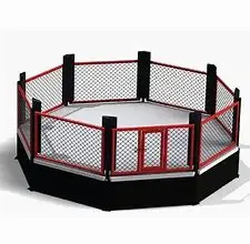 Yujishan MMA Octagon Cage Boxing Competition Event, Competition International Standard MMA Octagon Ring Boxing