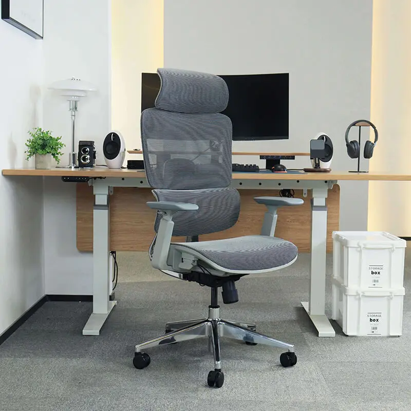 wholesale ergonom spinning office executive chairs revolve ergonomics task office chair swivel chair for office silla de oficina