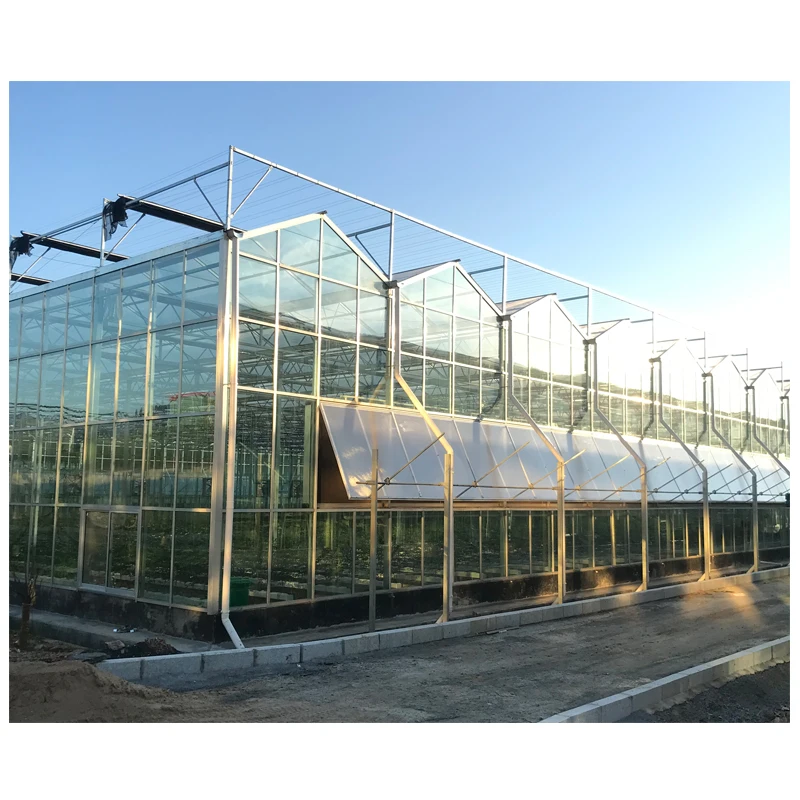 Venlo Tempered/Floated 4mm/5mm glass Multi-Span Greenhouse for Agriculture