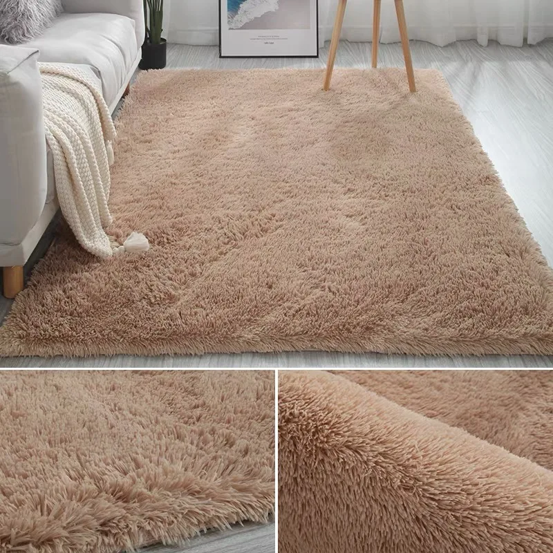  Area rug and Fluffy Carpet Rugs living room floor