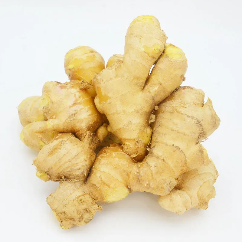 High Quality Fresh Ginger Wholesale Low-Cost Export Supplier Guaranteed Freshness in Carton Latest Trade Fresh Ginger