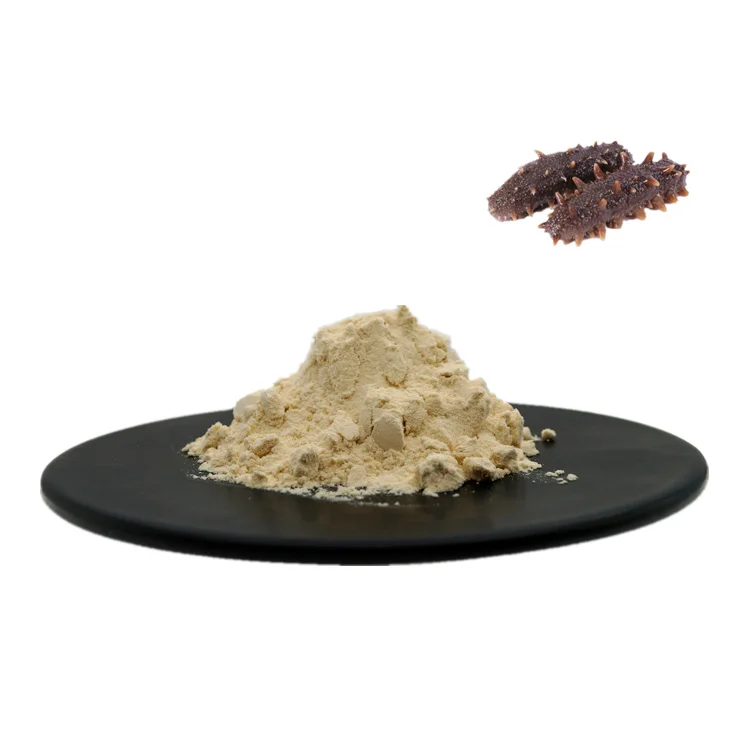 
Top Quality Sea Cucumber Extract Powder Sea Cucumber peptide powder 