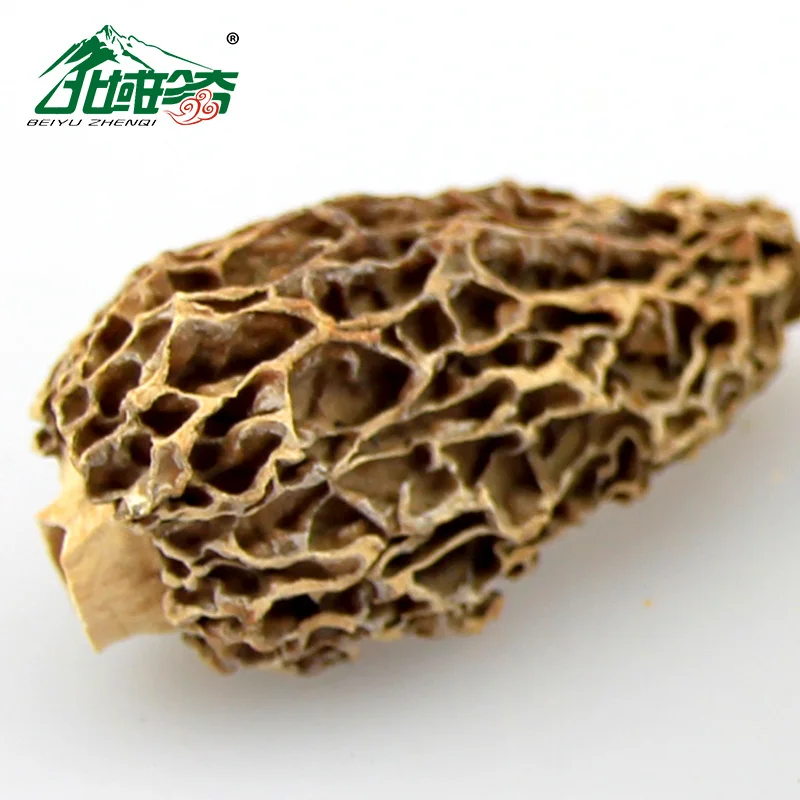 Заводская цена первоклассный питательный гриб высокого качества сухая морчелла conica