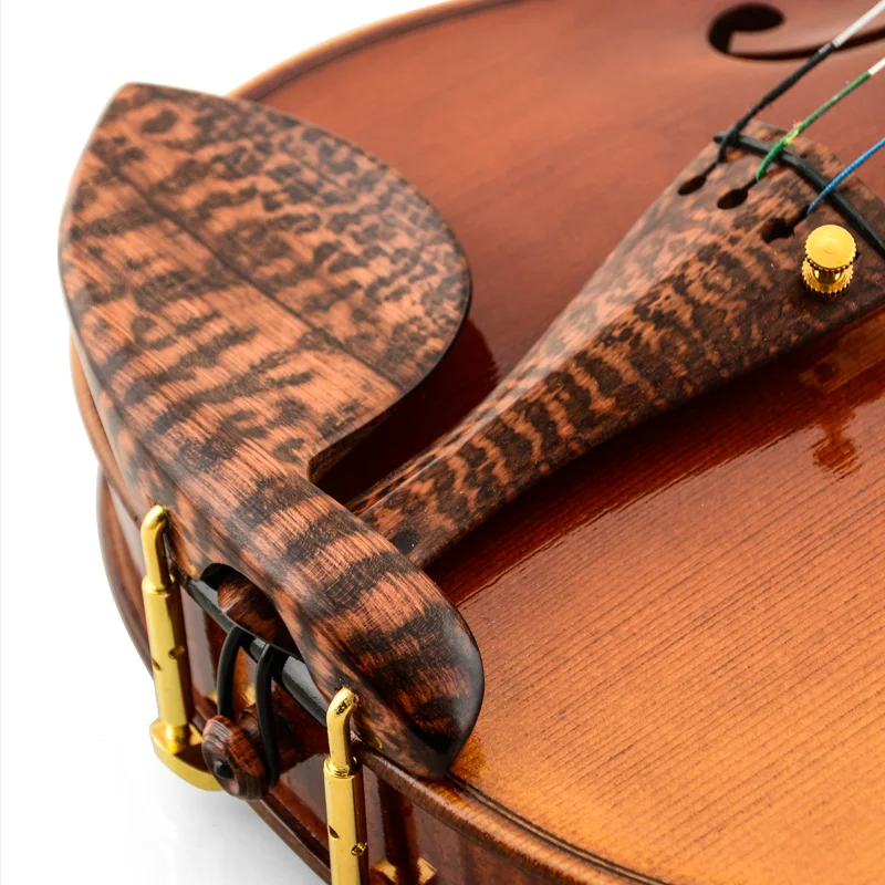 CHRISTINA Violin V10  Famous Brand Major prices Free case string bow