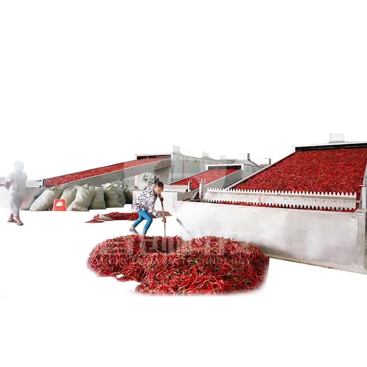 Pimiento dried chillies red paprika cayenne hot pepper drying dryer machine