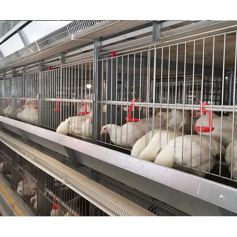 Chicken Coop Rooster Hen Mix Breeder Equipment Layer Chicken Battery Cage Chicken Cages for Farms